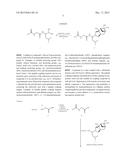 PROTEASOME INHIBITORS diagram and image