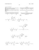 PROTEASOME INHIBITORS diagram and image