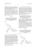 NOVEL NUCLEOSIDE PHOSPHORAMIDATE COMPOUND AND USE THEREOF diagram and image