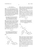 NOVEL NUCLEOSIDE PHOSPHORAMIDATE COMPOUND AND USE THEREOF diagram and image