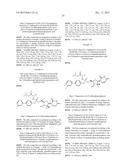 NOVEL NUCLEOSIDE PHOSPHORAMIDATE COMPOUND AND USE THEREOF diagram and image