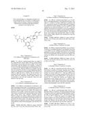 NOVEL NUCLEOSIDE PHOSPHORAMIDATE COMPOUND AND USE THEREOF diagram and image