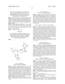 NOVEL NUCLEOSIDE PHOSPHORAMIDATE COMPOUND AND USE THEREOF diagram and image