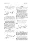 NOVEL NUCLEOSIDE PHOSPHORAMIDATE COMPOUND AND USE THEREOF diagram and image