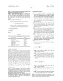 NOVEL NUCLEOSIDE PHOSPHORAMIDATE COMPOUND AND USE THEREOF diagram and image