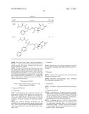 NOVEL NUCLEOSIDE PHOSPHORAMIDATE COMPOUND AND USE THEREOF diagram and image