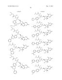 NOVEL NUCLEOSIDE PHOSPHORAMIDATE COMPOUND AND USE THEREOF diagram and image