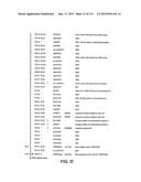 NUCLEOTIDE AND AMINO ACID SEQUENCES RELATING TO RESPIRATORY DISEASES AND     OBESITY diagram and image