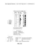 NUCLEOTIDE AND AMINO ACID SEQUENCES RELATING TO RESPIRATORY DISEASES AND     OBESITY diagram and image