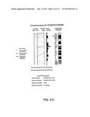 NUCLEOTIDE AND AMINO ACID SEQUENCES RELATING TO RESPIRATORY DISEASES AND     OBESITY diagram and image