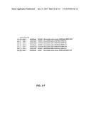 NUCLEOTIDE AND AMINO ACID SEQUENCES RELATING TO RESPIRATORY DISEASES AND     OBESITY diagram and image