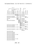 NUCLEOTIDE AND AMINO ACID SEQUENCES RELATING TO RESPIRATORY DISEASES AND     OBESITY diagram and image