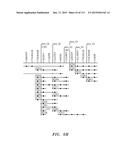 NUCLEOTIDE AND AMINO ACID SEQUENCES RELATING TO RESPIRATORY DISEASES AND     OBESITY diagram and image