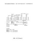 NUCLEOTIDE AND AMINO ACID SEQUENCES RELATING TO RESPIRATORY DISEASES AND     OBESITY diagram and image