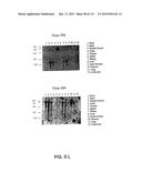 NUCLEOTIDE AND AMINO ACID SEQUENCES RELATING TO RESPIRATORY DISEASES AND     OBESITY diagram and image