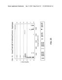 NUCLEOTIDE AND AMINO ACID SEQUENCES RELATING TO RESPIRATORY DISEASES AND     OBESITY diagram and image