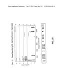 NUCLEOTIDE AND AMINO ACID SEQUENCES RELATING TO RESPIRATORY DISEASES AND     OBESITY diagram and image