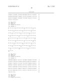 ANTIBODIES DIRECTED AGAINST PYROGLUTAMATE MONOCYTE CHEMOATTRACTANT     PROTEIN-1 (MCP-1 N1PE) diagram and image