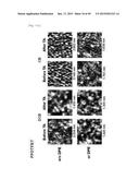 NOVEL POLYMER MATERIAL FOR HIGHTLY EFFICIENT ORGANIC THIN-FILM SOLAR CELL,     AND ORGANIC THIN-FILM SOLAR CELL USING SAME diagram and image