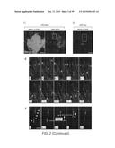 In Vitro Production of Medial Ganglionic Eminence Precursor Cells diagram and image