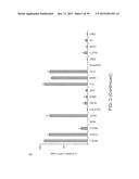 In Vitro Production of Medial Ganglionic Eminence Precursor Cells diagram and image