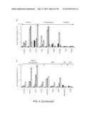 In Vitro Production of Medial Ganglionic Eminence Precursor Cells diagram and image