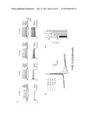 In Vitro Production of Medial Ganglionic Eminence Precursor Cells diagram and image