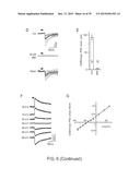 In Vitro Production of Medial Ganglionic Eminence Precursor Cells diagram and image