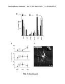 In Vitro Production of Medial Ganglionic Eminence Precursor Cells diagram and image