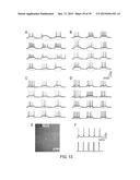 In Vitro Production of Medial Ganglionic Eminence Precursor Cells diagram and image