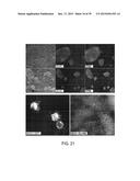 In Vitro Production of Medial Ganglionic Eminence Precursor Cells diagram and image