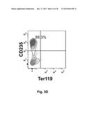 REPROGRAMMING OF HUMAN ENDOTHELIUM INTO HEMATOPOIETIC MULTI-LINEAGE     PROGENITORS BY DEFINED FACTORS diagram and image