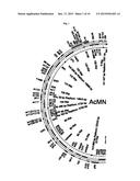 IMPROVED BACULOVIRAL EXPRESSION SYSTEM AND METHODS OF PRODUCING THE SAME diagram and image