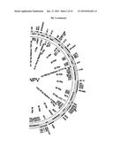 IMPROVED BACULOVIRAL EXPRESSION SYSTEM AND METHODS OF PRODUCING THE SAME diagram and image