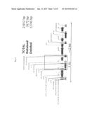 IMPROVED BACULOVIRAL EXPRESSION SYSTEM AND METHODS OF PRODUCING THE SAME diagram and image