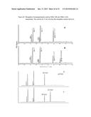 METHOD FOR PRODUCING POLYUNSATURATED FATTY ACIDS IN TRANSGENIC PLANTS diagram and image