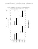 METHOD FOR PRODUCING POLYUNSATURATED FATTY ACIDS IN TRANSGENIC PLANTS diagram and image