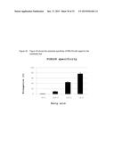 METHOD FOR PRODUCING POLYUNSATURATED FATTY ACIDS IN TRANSGENIC PLANTS diagram and image