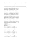 INNOVATIVE DISCOVERY OF THERAPEUTIC, DIAGNOSTIC, AND ANTIBODY COMPOSITIONS     RELATED TO PROTEIN FRAGMENTS OF PHENYLALANYL-ALPHA-TRNA SYNTHETASES diagram and image