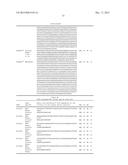 INNOVATIVE DISCOVERY OF THERAPEUTIC, DIAGNOSTIC, AND ANTIBODY COMPOSITIONS     RELATED TO PROTEIN FRAGMENTS OF PHENYLALANYL-ALPHA-TRNA SYNTHETASES diagram and image