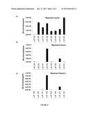 REGULATORY NUCLEIC ACID MOLECULES FOR ENHANCING SEED-SPECIFIC AND/OR     SEED-PREFERENTIAL GENE EXPRESSION IN PLANTS diagram and image