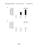 REGULATORY NUCLEIC ACID MOLECULES FOR ENHANCING SEED-SPECIFIC AND/OR     SEED-PREFERENTIAL GENE EXPRESSION IN PLANTS diagram and image