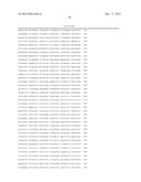 REGULATORY NUCLEIC ACID MOLECULES FOR ENHANCING SEED-SPECIFIC AND/OR     SEED-PREFERENTIAL GENE EXPRESSION IN PLANTS diagram and image