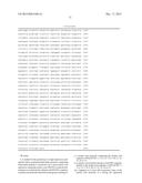 REGULATORY NUCLEIC ACID MOLECULES FOR ENHANCING SEED-SPECIFIC AND/OR     SEED-PREFERENTIAL GENE EXPRESSION IN PLANTS diagram and image