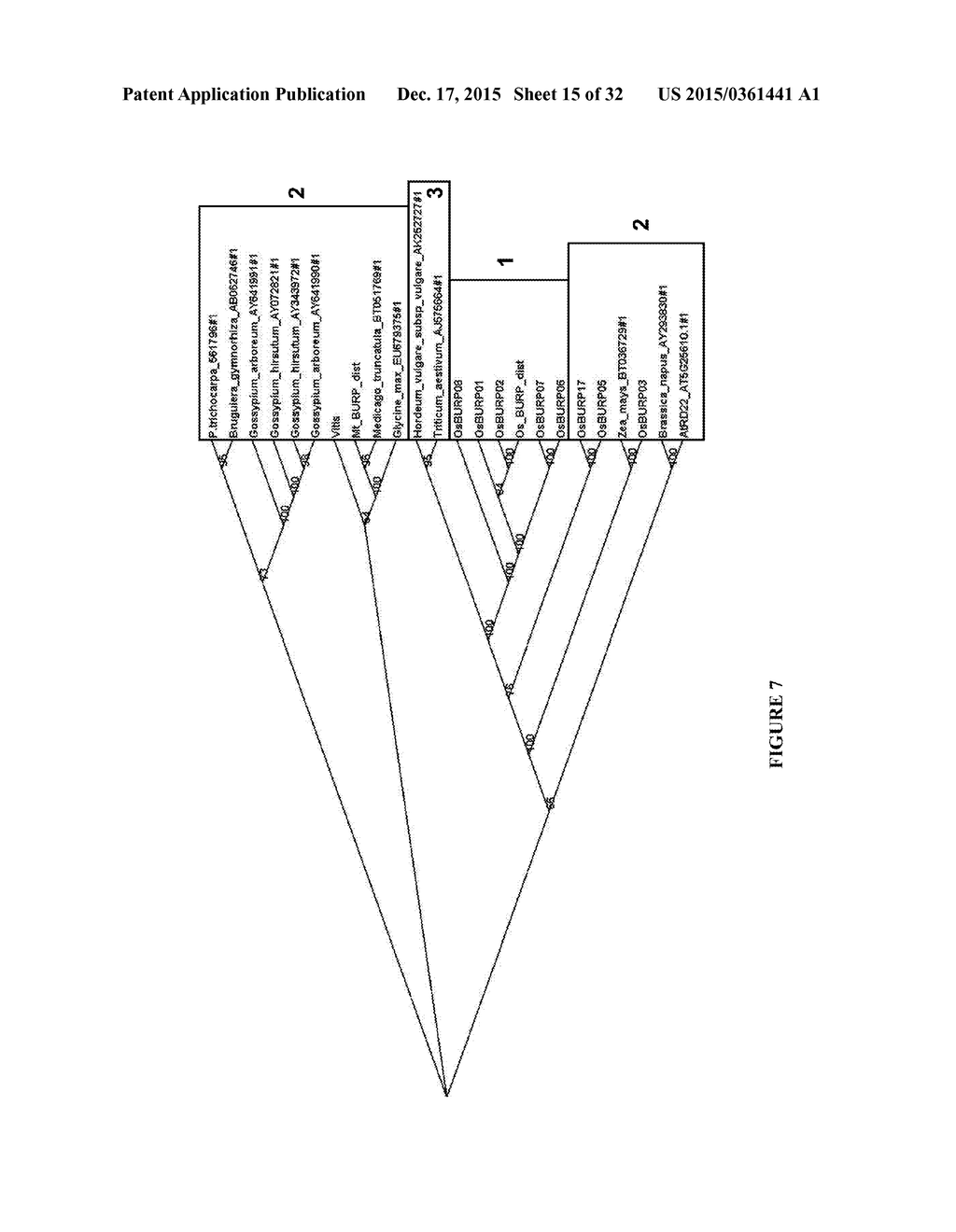 Plants Having Enhanced Yield-Related Traits And A Method For Making The     Same - diagram, schematic, and image 16