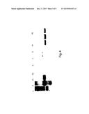 PLATELETS TRANSFECTED BY EXOGENOUS GENETIC MATERIAL AND PLATELET     MICROPARTICLES OBTAINED BY  SAID TRANSFECTED PLATELETS, METHOD FOR THE     PREPARATION AND USES THEREOF diagram and image