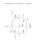 ACYL-ACP REDUCTASE WITH IMPROVED PROPERTIES diagram and image