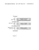 METABOLICALLY ENGINEERED CELLS FOR THE PRODUCTION OF RESVERATROL OR AN     OLIGOMERIC OR GLYCOSIDICALLY-BOUND DERIVATIVE THEREOF diagram and image