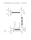 METHODS, REAGENTS AND CELLS FOR BIOSYNTHESIZING COMPOUNDS diagram and image