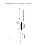METHODS, REAGENTS AND CELLS FOR BIOSYNTHESIZING COMPOUNDS diagram and image